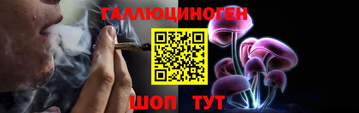 Галлюциногенные грибы MAGIC MUSHROOMS  Псилоцибиновые грибы мухоморы  Подольск  Вход с VPN 